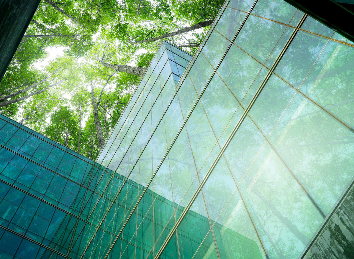 glass building with trees