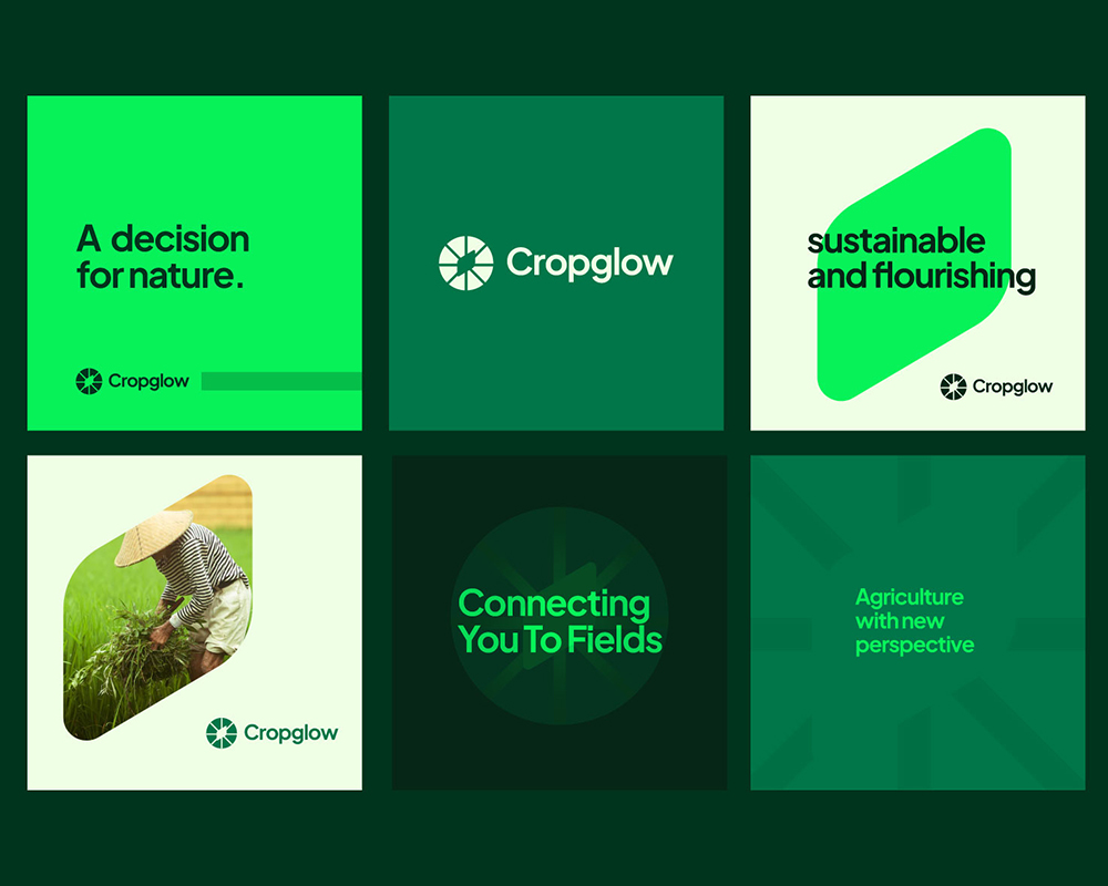 Portfolio 3